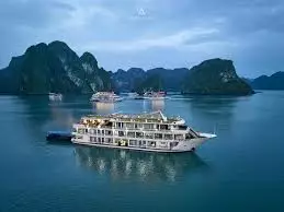 آکو الگانس کروز